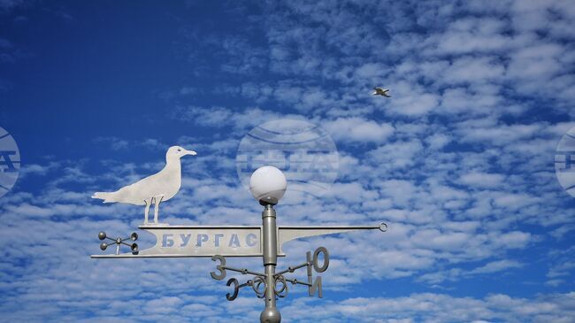 Конференция в Бургас ще обсъди ползите от членството на България в ОИСР за младите хора