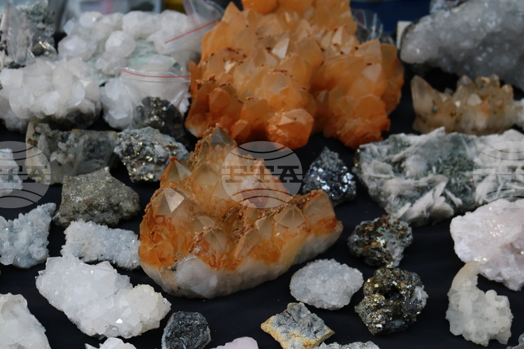 Earth and Man National Museum Organizing Christmas Exhibition of Minerals, Precious Stones, Fossils