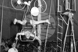 Световен ден на цирка