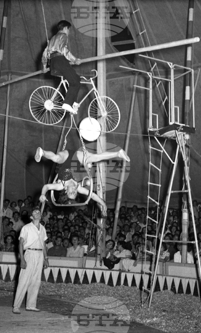 Световен ден на цирка