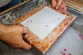 Румъния - “Селото на занаятите” в Комана