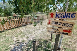 Румъния - “Селото на занаятите” в Комана