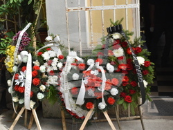 Снимка: Община Ловеч