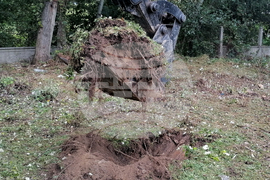 Видин - реконструкция - канализационен колектор - първа копка