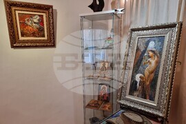 Варна - Васил Петров - изложба