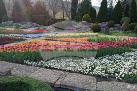 Балчик - Парад на лалетата