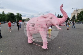 Румъния - Букурещ - протест