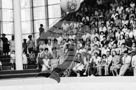 Варна - делфинариум