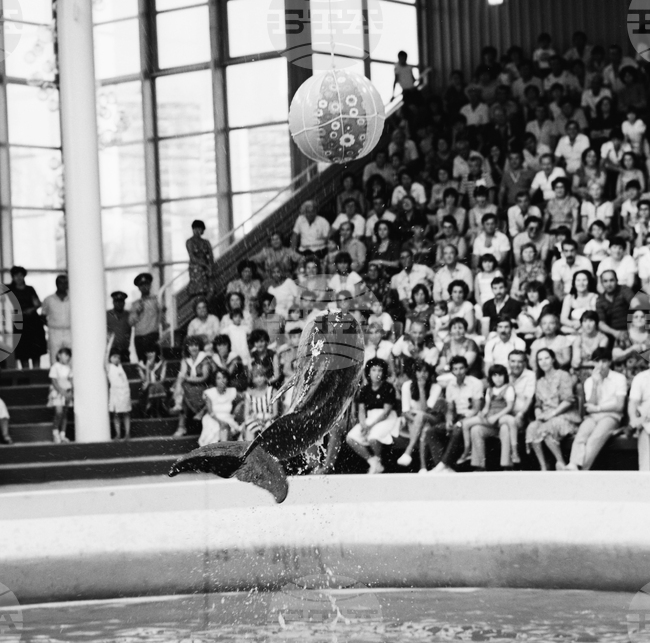 Варна - делфинариум