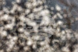 Село Поцърненци - язовир - каяк 