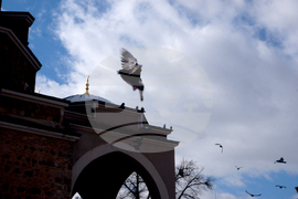 "Фотолаборатория за сетивна фотография” - изложба