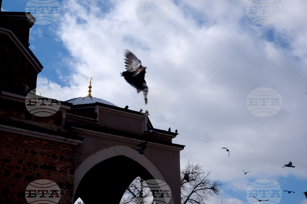 "Фотолаборатория за сетивна фотография” - изложба