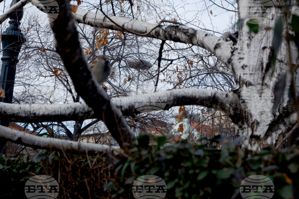 "Фотолаборатория за сетивна фотография” - изложба