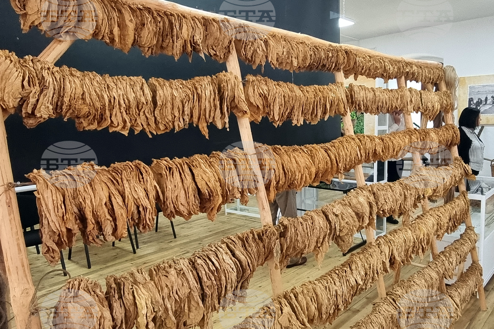 Ардино - музей на тютюна - откриване