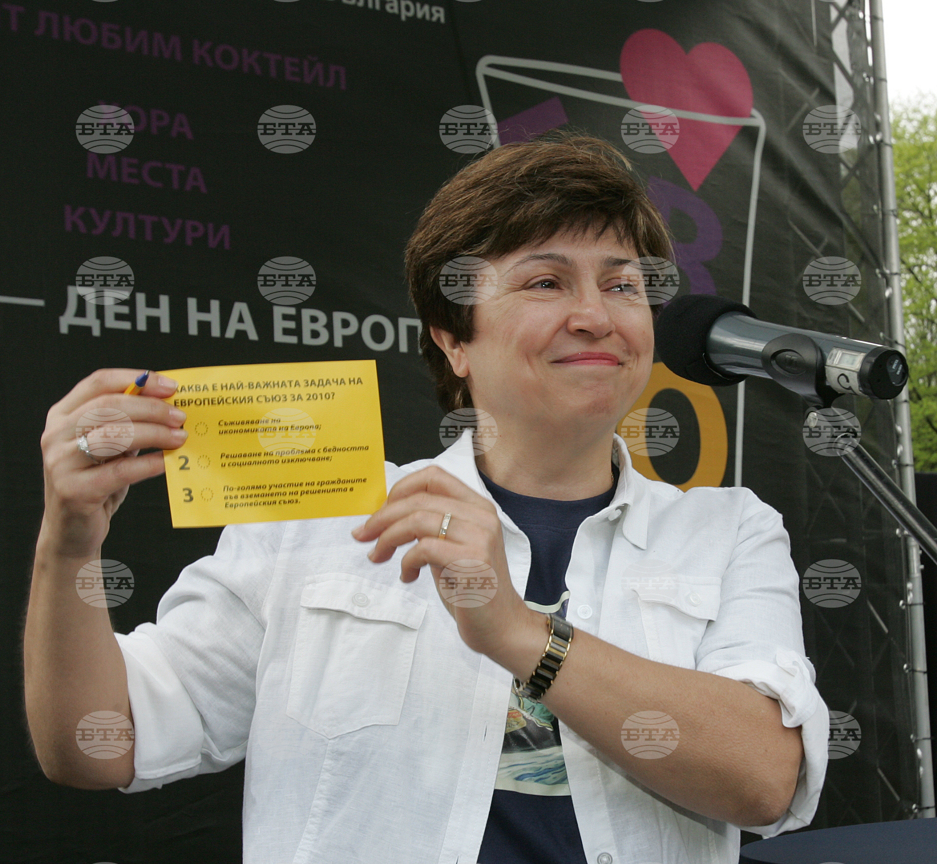 Кристалина Георгиева - Европейски съюз - анкета - архив 2010