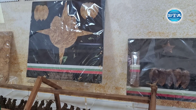 Музей на тютюна бе открит в Ардино