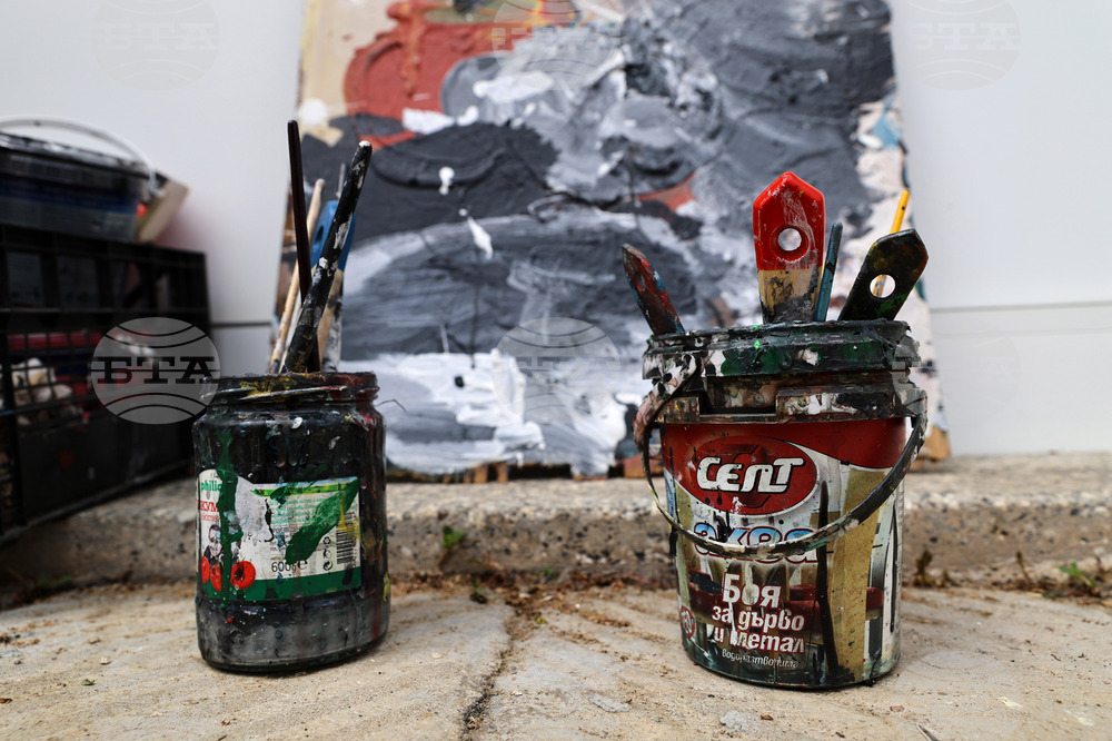 Село Старо Железаре - Първият в света селски музей за улично изкуство (street art )