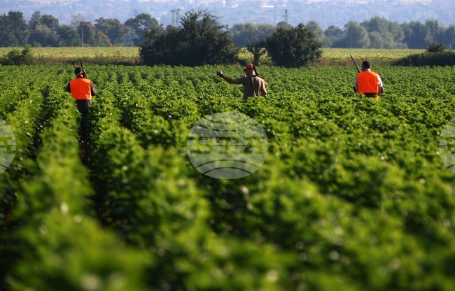 Ловен сезон за пернат дивеч - откриване