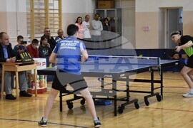 Сърбия - тенис на маса