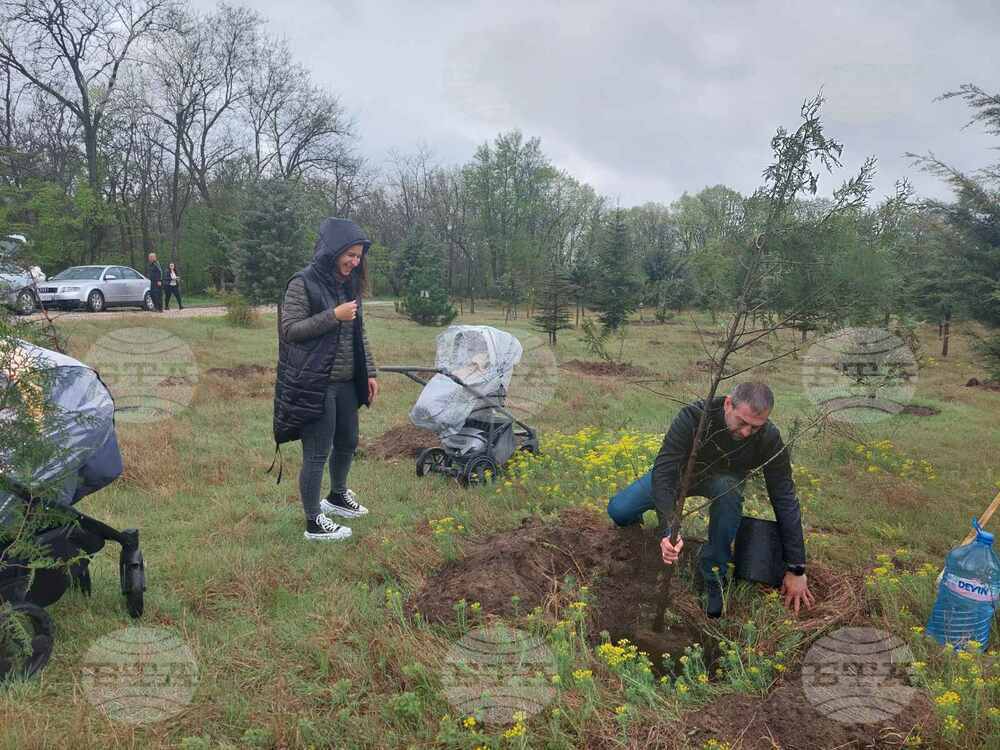 Родители на новородени разшириха "Алеята на новия живот" в Димитровград със засаждане на фиданки