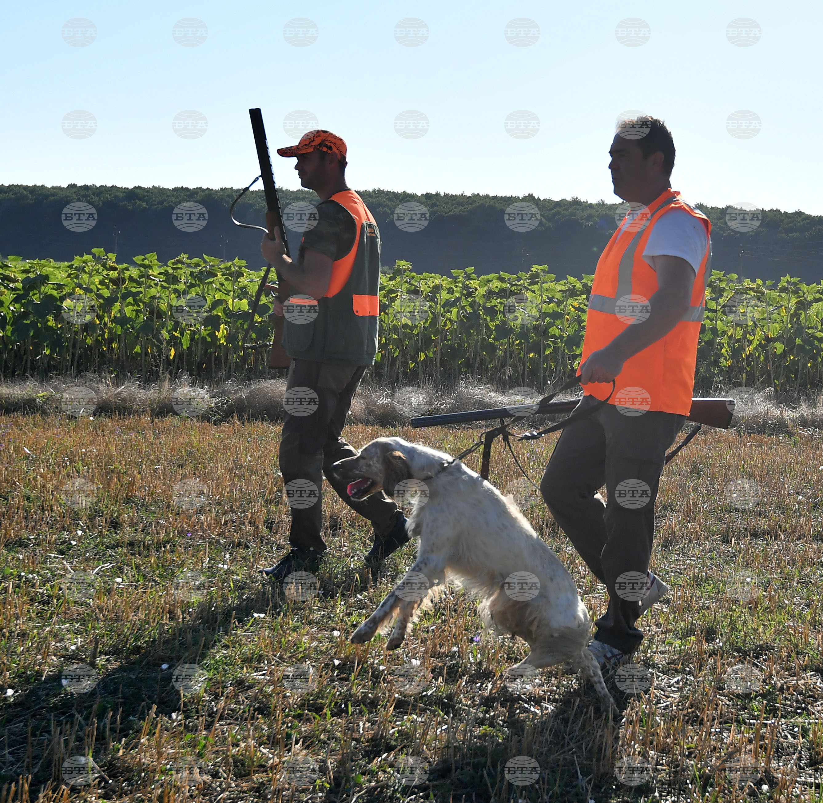 Село Голям Поровец  - ловен сезон