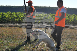 Село Голям Поровец  - ловен сезон