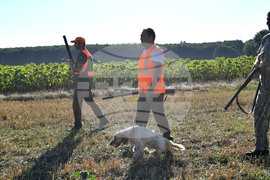 Село Голям Поровец  - ловен сезон