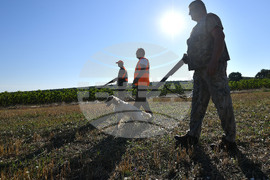 Село Голям Поровец  - ловен сезон