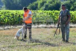 Село Голям Поровец  - ловен сезон