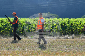 Село Голям Поровец  - ловен сезон