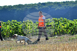 Село Голям Поровец  - ловен сезон