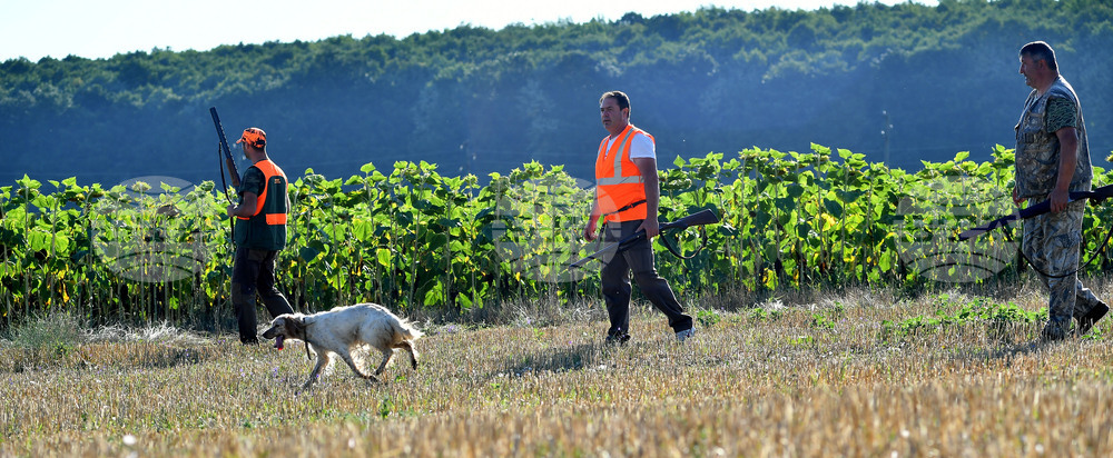Село Голям Поровец  - ловен сезон