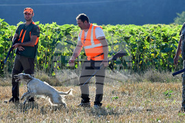 Село Голям Поровец  - ловен сезон