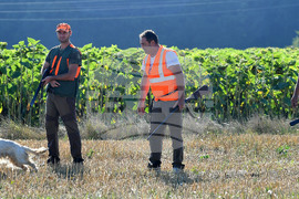 Село Голям Поровец  - ловен сезон