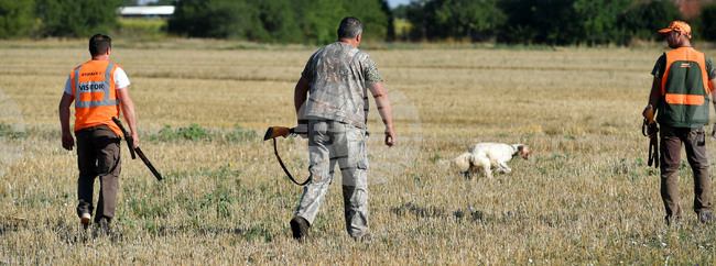 В Търговищка област са регистрирани 2640 физически лица с разрешение за носене на оръжие за ловни цели