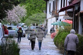 Благоевград - храм „Въведение Богородично“ - Цветница