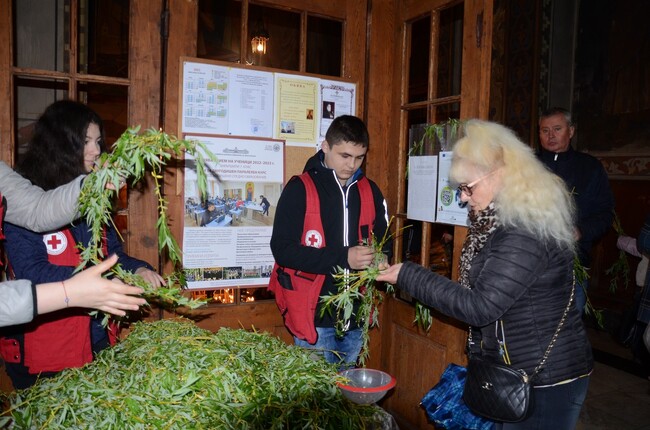 Цветница във Видин