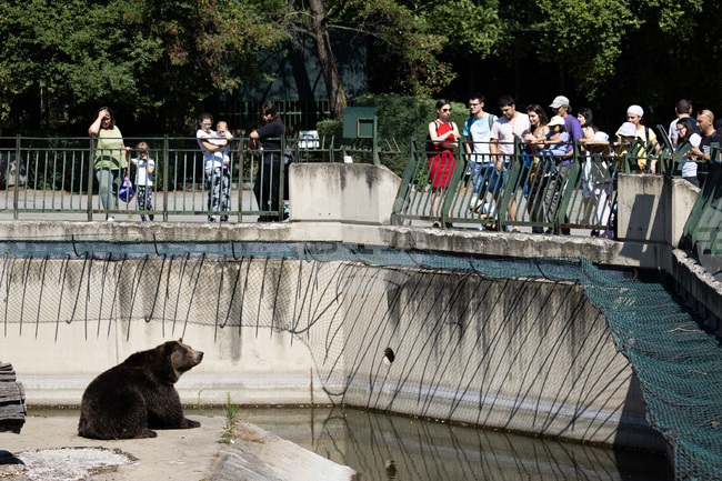 Зоологическа градина София