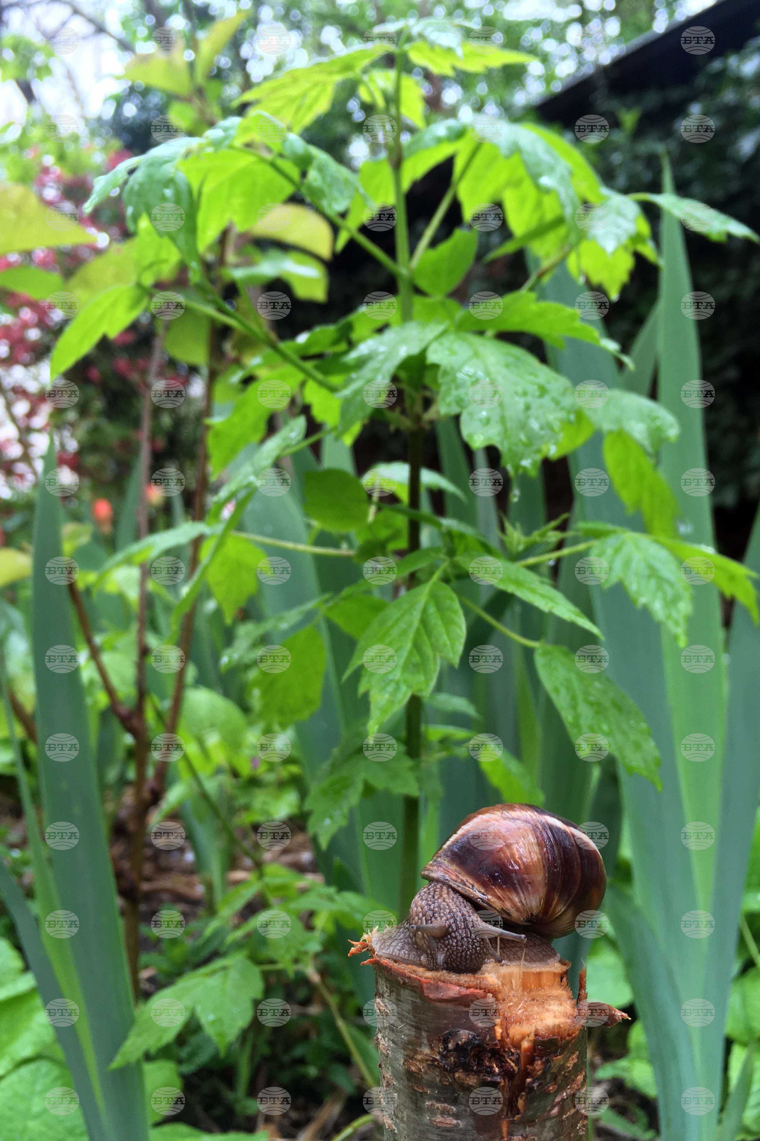 Дъждовно време 