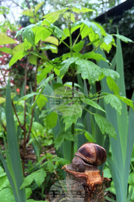 Дъждовно време