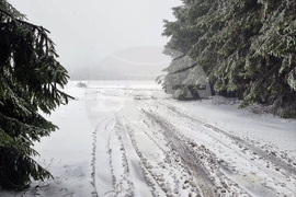 Петрохански проход - сняг