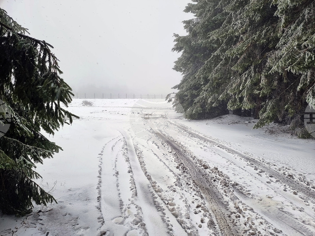 Петрохански проход - сняг