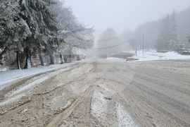 Петрохански проход - сняг