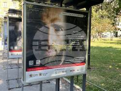 Снимка: Столична община, район Слатина