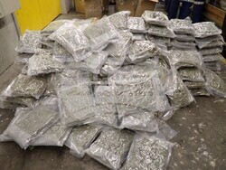 Снимка: МВР