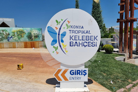 Турция - Коня - Тропически музей на пеперудите