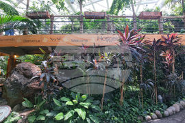 Турция - Коня - Тропически музей на пеперудите