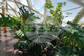 Турция - Коня - Тропически музей на пеперудите