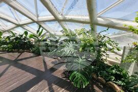 Турция - Коня - Тропически музей на пеперудите