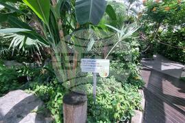 Турция - Коня - Тропически музей на пеперудите